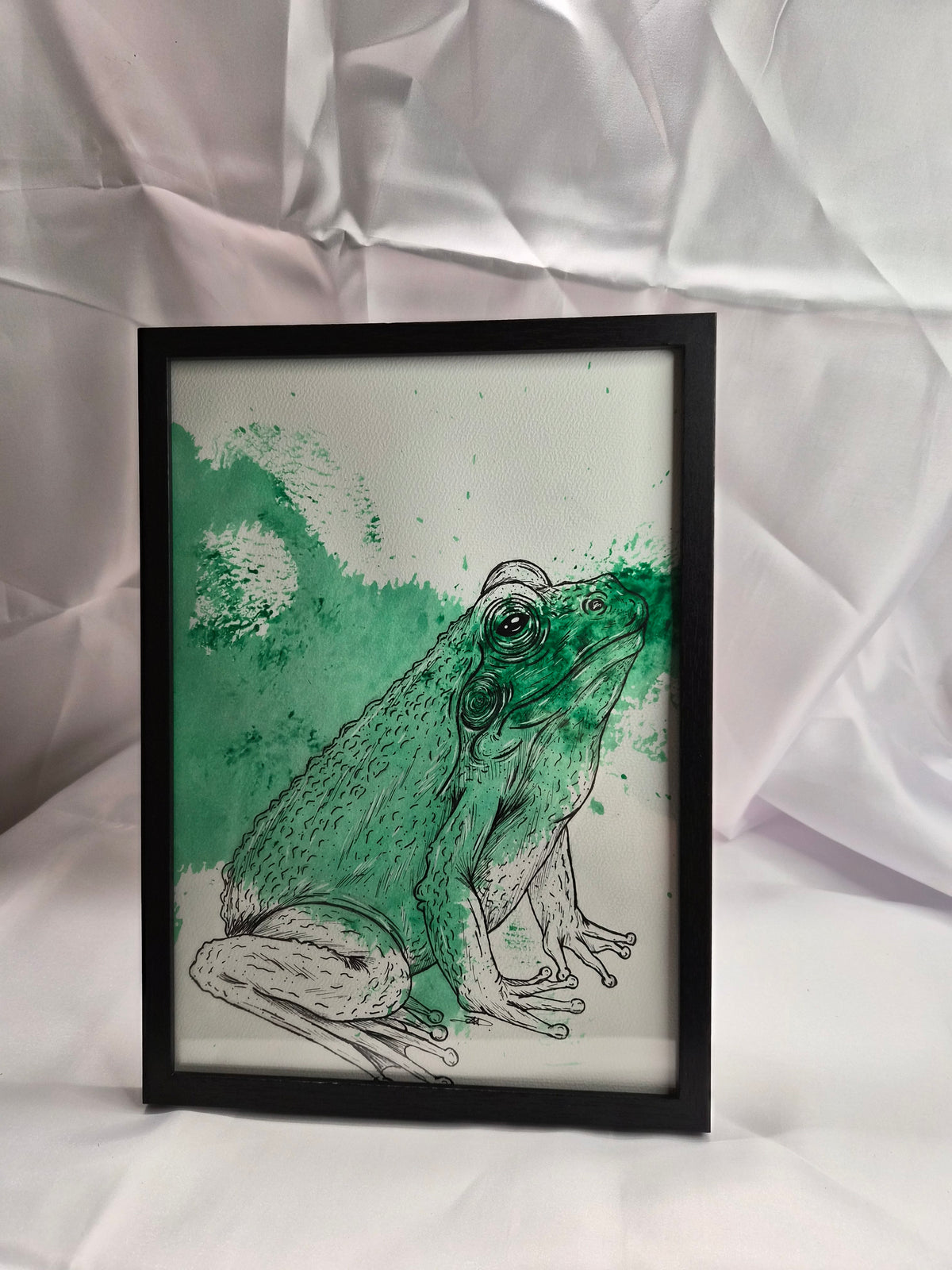 Illustration animaux -Crapaud