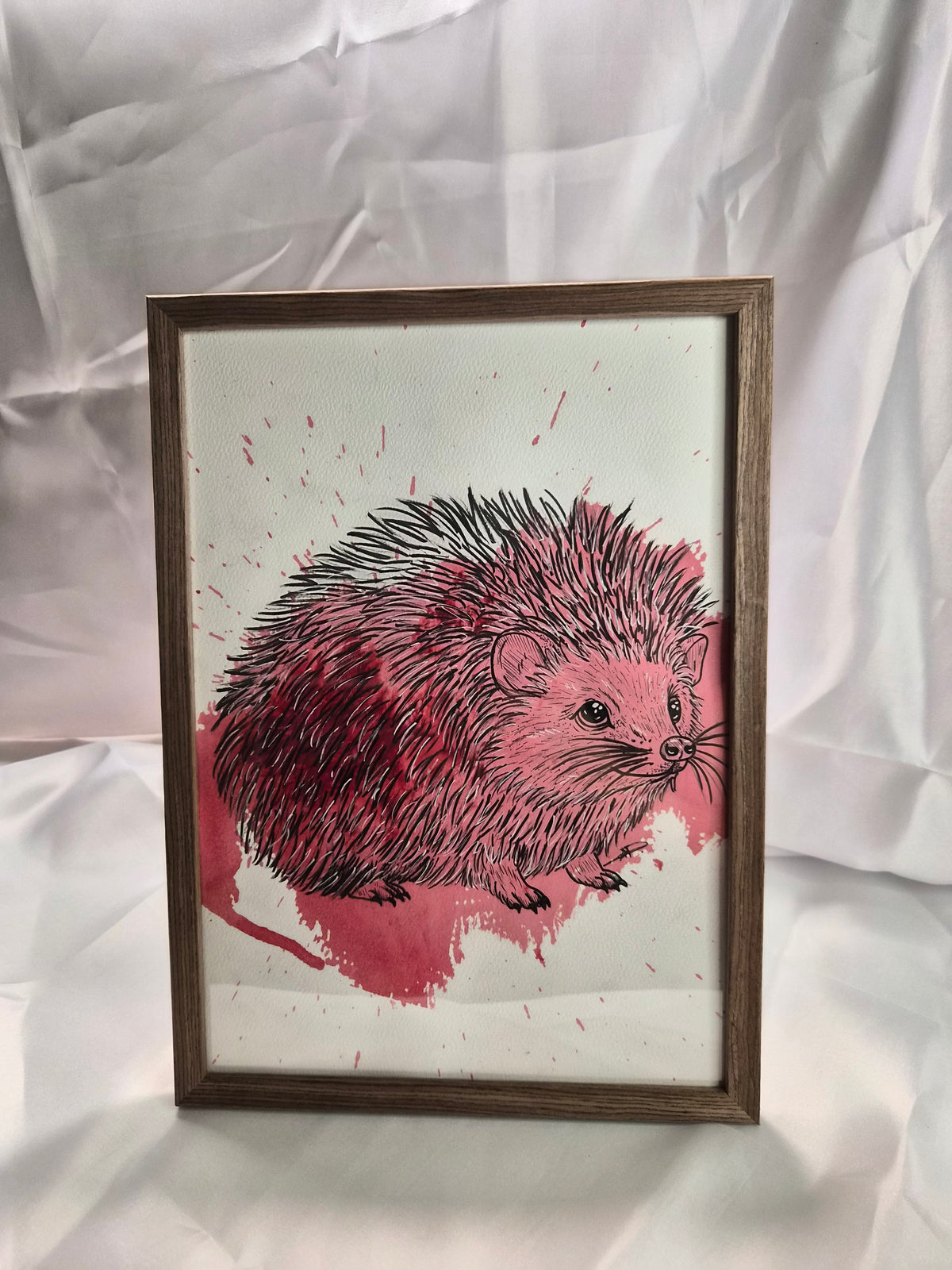 Illustration animaux - Hérisson