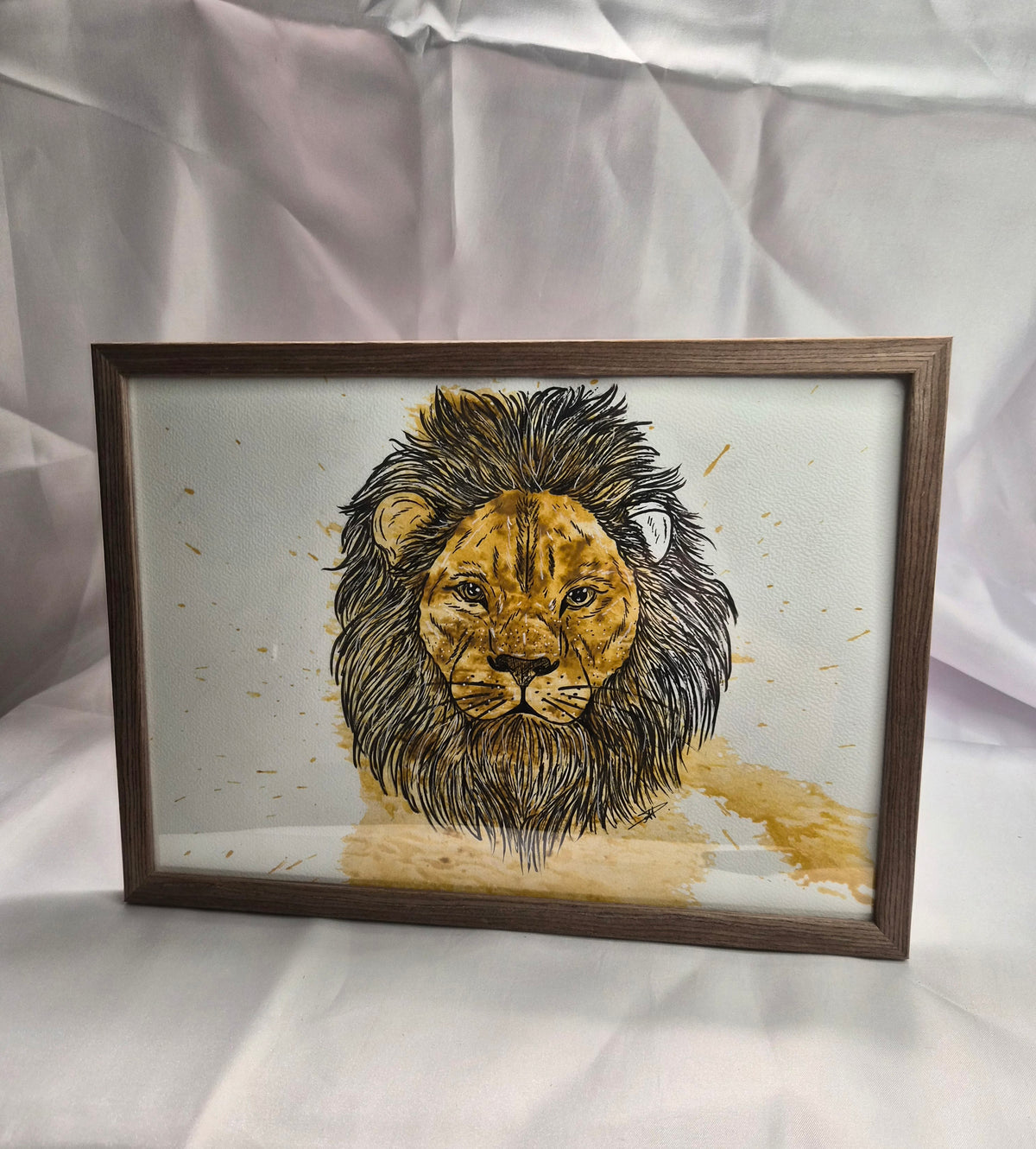 Illustration animaux - Lion