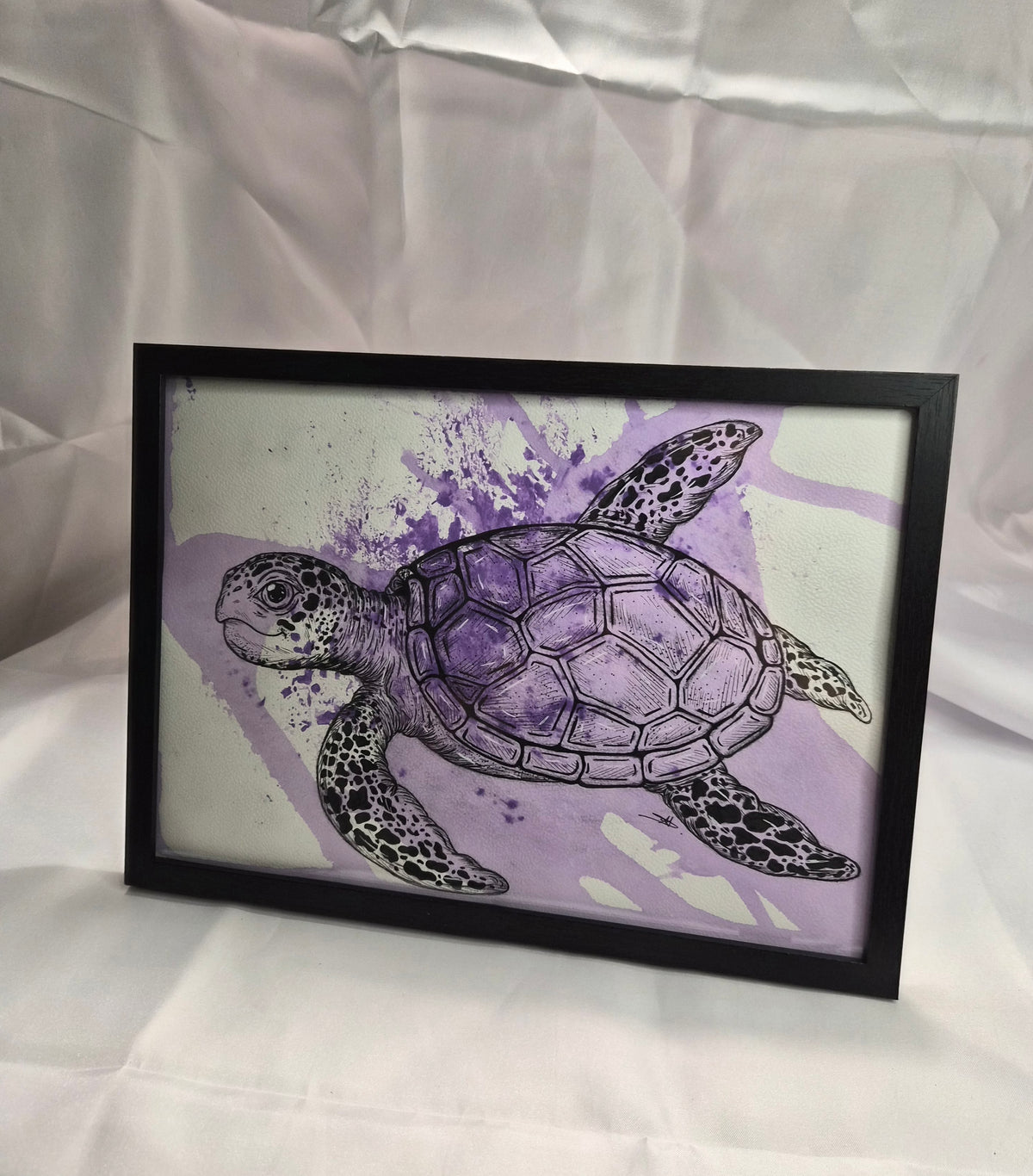 Illustration animaux - Tortue