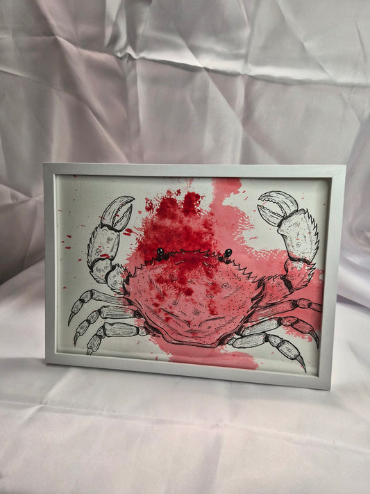 Illustration animaux - Crabe