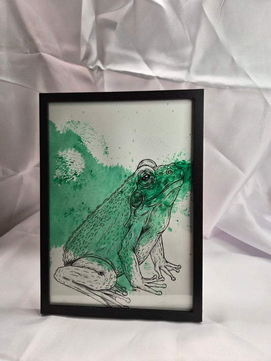 Illustration animaux -Crapaud