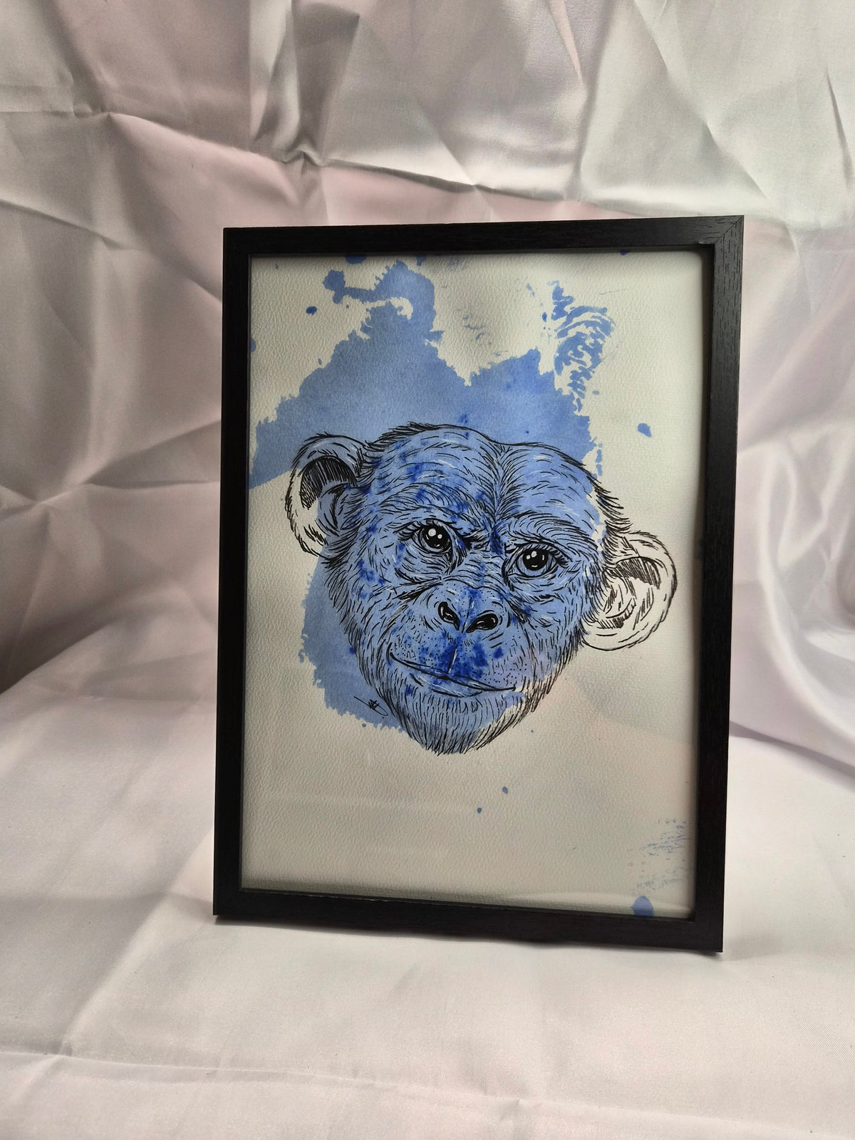Illustration animaux -Singe