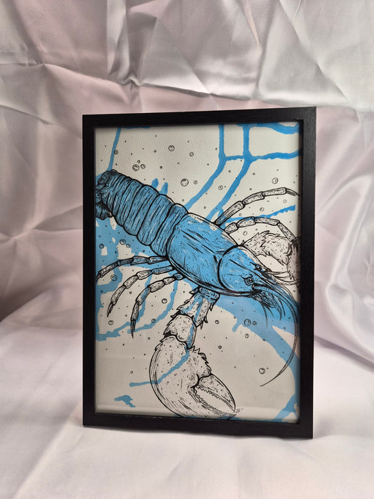 Illustration animaux -Homard